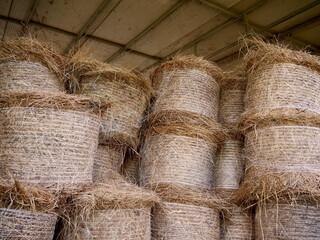 Bales of hay in a barn - 759811374