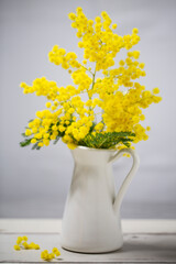 Gelbe Mimosen in einem weißen Krug aus Emaille - Nahaufnahme, Close up.