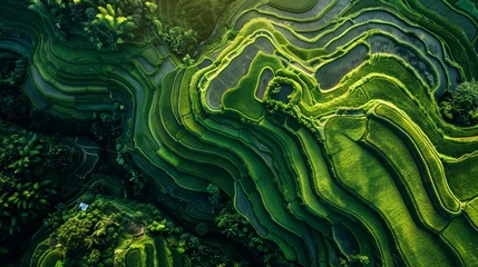Stof per meter Rice fields on terraced of Vietnam. Vietnam landscapes. © lelechka