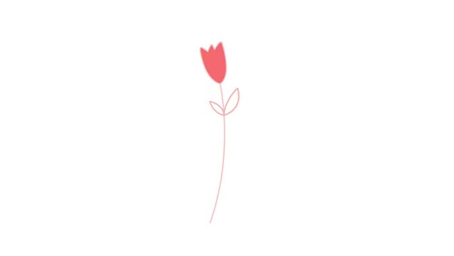 Rose Animated Flat Icon 4k Video. Hand-drawn animation of rose in vector on transparent background