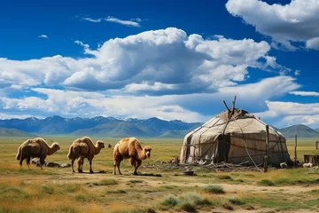  Picturesque central asian landscape featuring traditional camels and tents, typical of the region © Evgeny