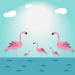 Pink flamingos resting in the lake	