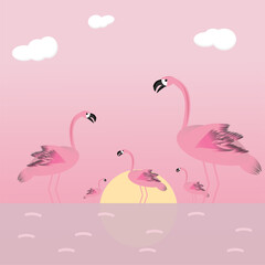Pink flamingos resting in the lake