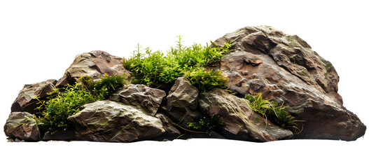Create an isolated, transparent background for a photo of brown rocks with moss on top, suitable as the base or bottom decoration in aquariums