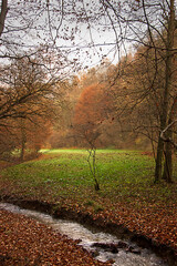 Naklejka premium golden autumn in the forest. Landscape with a river in an autumn forest