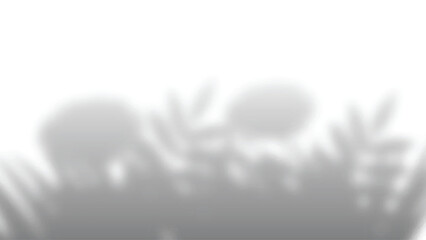 Grey Shadows Overlay Effect Design