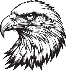 Eagle Head vector black and white