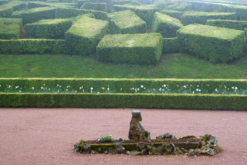 lever du jour, brouillard, Buxus sempevirens, Buis,  Les jardins suspendus, chateau de Marqueyssac,...