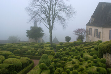 lever du jour, brouillard, Buxus sempevirens, Buis,  Les jardins suspendus, chateau de Marqueyssac,...