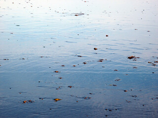 Beach and sand - Lunan Bay - Scotland - UK