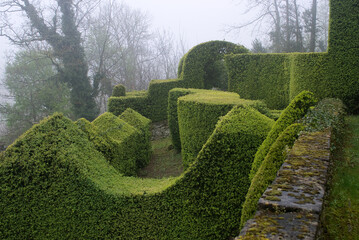 lever du jour, brouillard, Buxus sempevirens, Buis,  Les jardins suspendus, chateau de Marqueyssac, 24, Dordogne, France