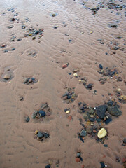 Newburgh beach - dunes and sand - shore - Ythan estuary - Newburgh - Aberdeenshire - UK