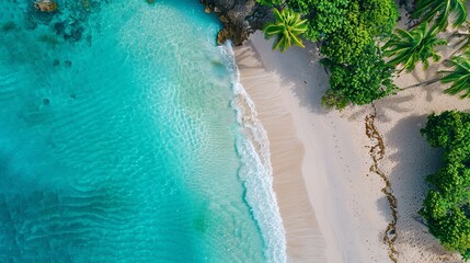Fototapeta na wymiar Aerial shot of a serene tropical beach with crystal clear turquoise waters, white sand, and lush greenery. 