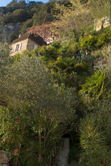 Jardin éxotique, La Roque Gageac, 24, Dordogne, France