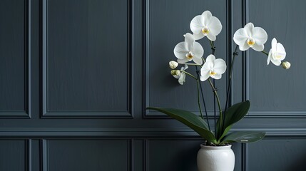 Dark Blue Accent Wall Adorned with Elegant Orchids and a Majestic Elephant Ear Plant in a Modern Interior Design
