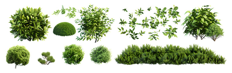A collection of realistic bushes in different types and sizes with a transparent background in PNG format as cutout elements with a hyper realisti style in the green colou palette at a high resolution
