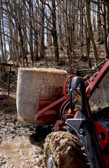 An agricultural tractor transports a bale of hay along a dirt road in the woods after the rain - 759833505