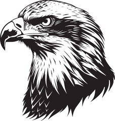 Eagle Head vector black and white