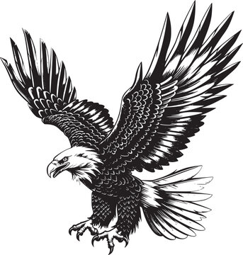 Eagle vector black and white