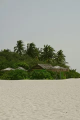 Foto auf Acrylglas beach with palm trees © Trang