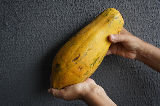 
Approximately 30 cm large papaya fruit (Carica papaya) Caricaceae family. Fortaleza - Ceara, Brazil.
