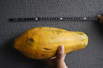 
Approximately 30 cm large papaya fruit (Carica papaya) Caricaceae family. Fortaleza - Ceara,...