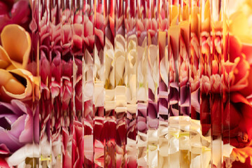 Colorful bouquet of white, pink, yellow and red tulips close-up. Acrylic sheet gives a patterned effect. Looking through the glass. Spring background. Floral background. 