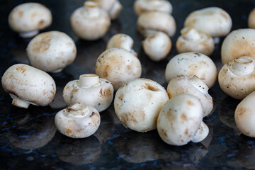 Fresh Paris champignon Agaricus Bisporus in selective focus