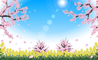 桜の木と菜の花のある春の青空背景イラスト