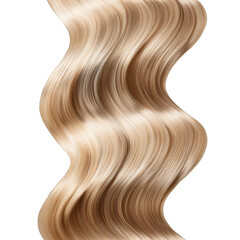 Womans Long Blonde Hair. Transparent PNG Background