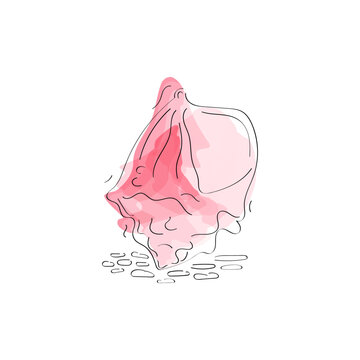 recommend clip art: doodle solo isolated silhouette of pink shell on white background. outline vector simple illustration