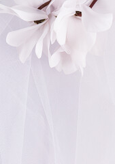 Stylish wedding background of white classic bridal veil and snow-white spring flowers. Vertical...