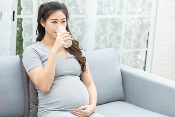 Healthy pregnant Asian woman drinking milk, sitting comfortably on a sofa, maternal nutrition concept