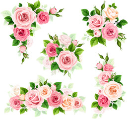 Pink and white roses. Set of vector floral design elements with pink and white rose flowers and green leaves isolated on a white background