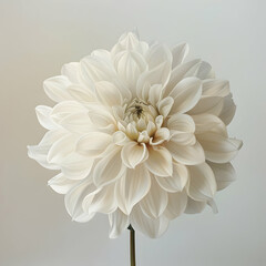 White flower crisp,generative ai