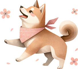 Shiba Inu dog Barking Upwards in cherry blossom festival
