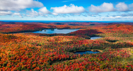 Colorful Trees in forest with lakes and blue cloudy sky. Aerial Nature Background © edb3_16