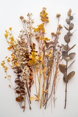 Dried Flowers on White Wall