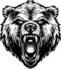 Bear head handrawing vector graphic