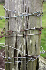 Pole with barbed wire - Usan - Montrose - Scotland - UK