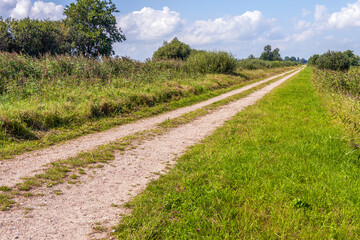 Fototapeta na wymiar Long unpaved path with cart tracks in a Dutch nature reserve. The photo was taken in the province of North Brabant on a slightly cloudy day in the summer season.