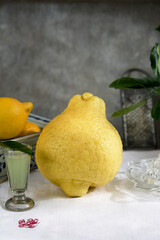 Stillleben mit Zitrusfrüchten_Zitronen und Zitronatzitrone