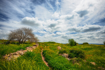 Spring Landscape at cloudy day, Israel. - 759896322