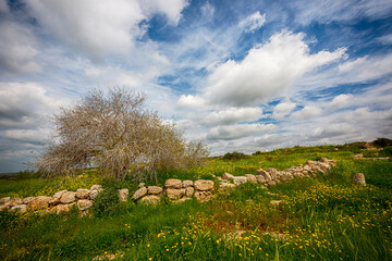 Spring Landscape at cloudy day, Israel. - 759896581