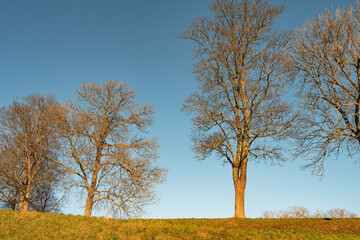 Obraz premium When in Denmark