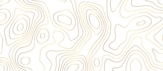 abstract golden wave paper curved reliefs background. Topography map pattern, Geographic curved, vector illustration. seamless textrue, vintage waves. Panorama view multicolor wave curve line. - obrazy, fototapety, plakaty