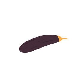 eggplant illustration