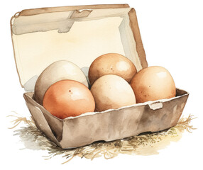 Brown eggs in egg carton watercolor art