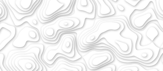 3d render, abstract white paper background. Paper cut vector art background banner texture. multi layer cutout geometric pattern on vector, Abstract soft white background with waves.