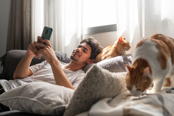 A young man sitting in an sofa with his head resting on a brown cat uses his cell phone   - obrazy, fototapety, plakaty